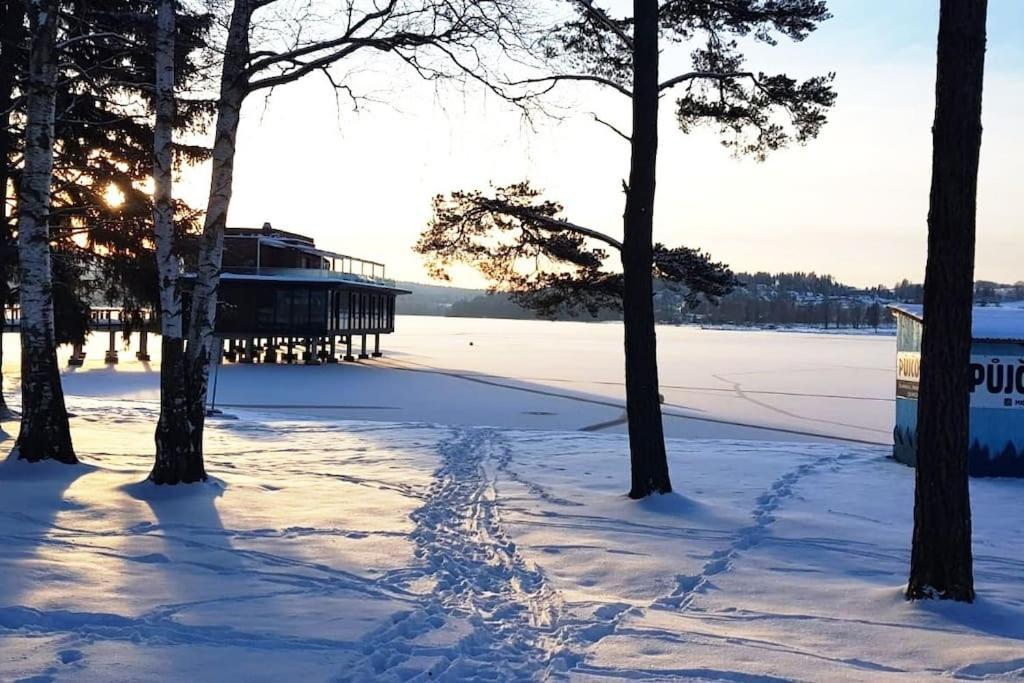 Molo Lipno Daire Lipno nad Vltavou Dış mekan fotoğraf