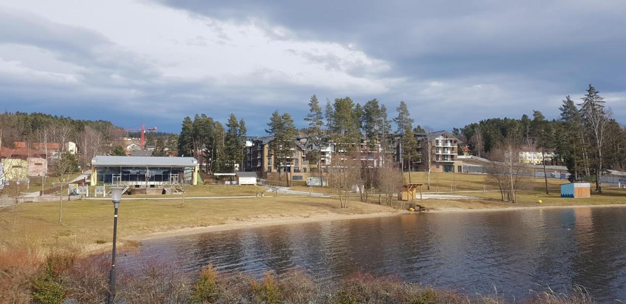 Molo Lipno Daire Lipno nad Vltavou Dış mekan fotoğraf